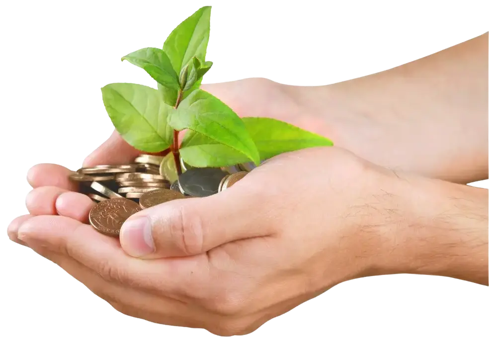 investment-management-hero